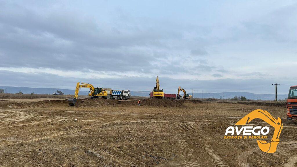 inchiriere excavatoare pe senile